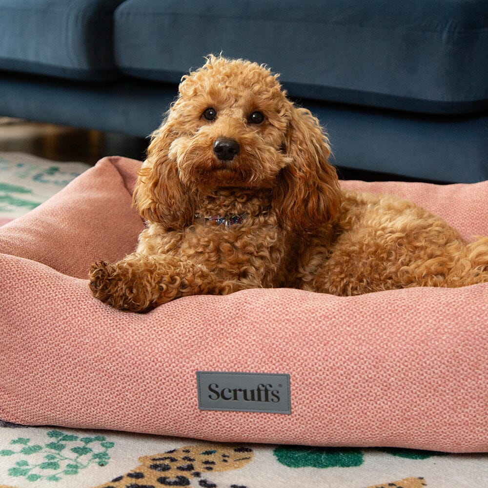 Scruff - Seattle Box ძაღლის საწოლი