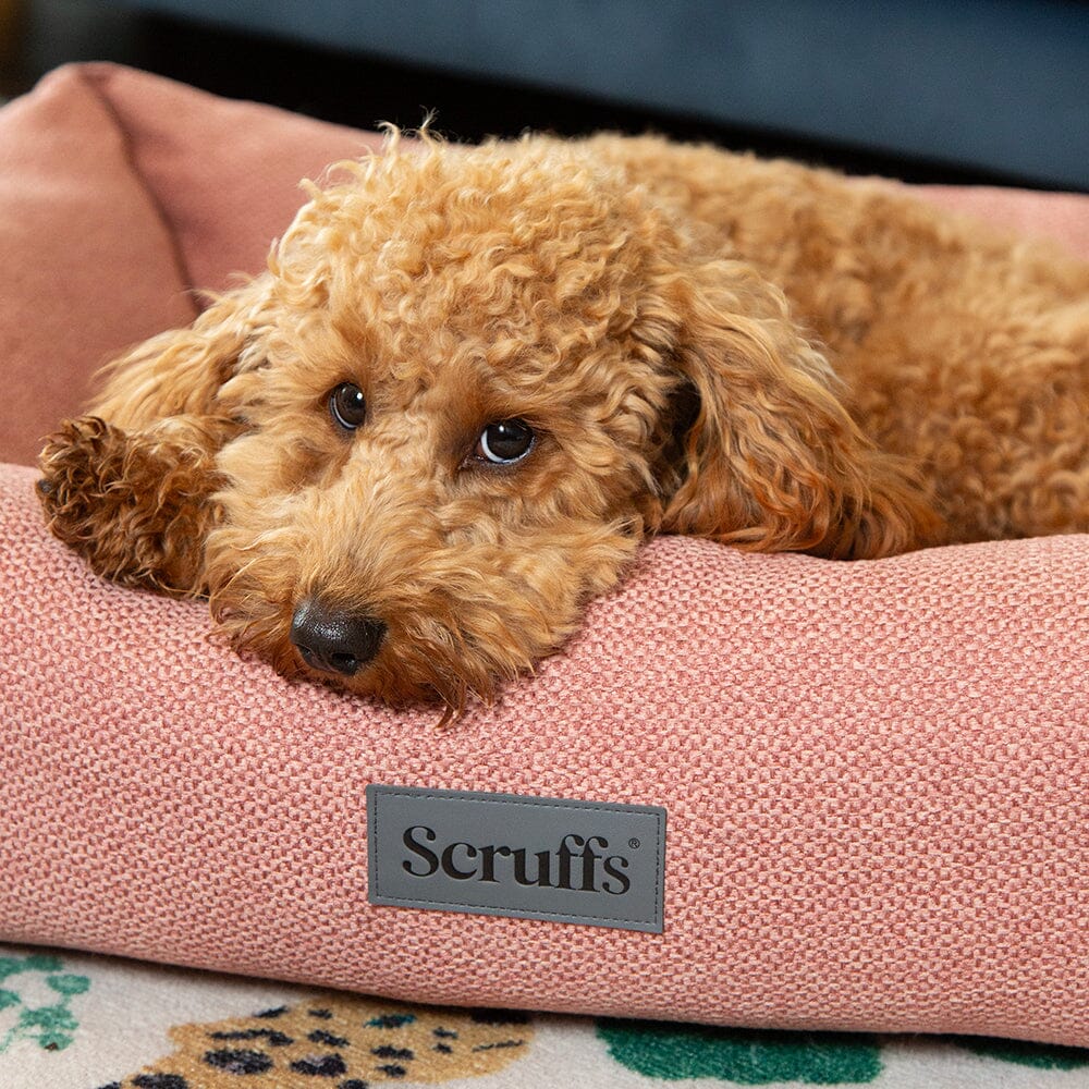 Scruff - Seattle Box ძაღლის საწოლი
