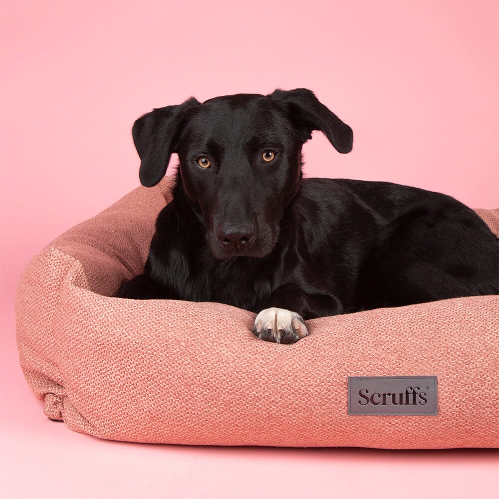 Scruff - Seattle Box ძაღლის საწოლი